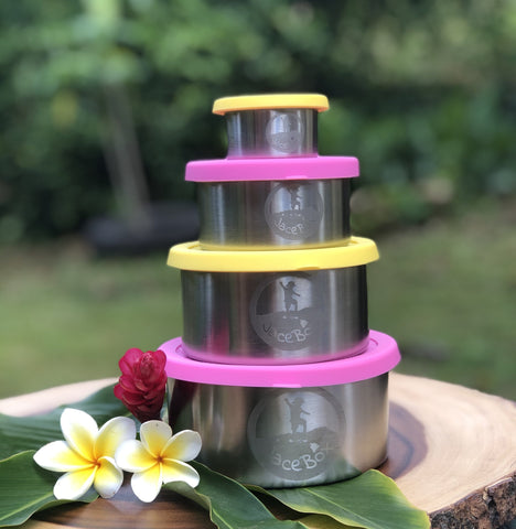 Image of Snack Containers for Kids - Stainless Steel Food Containers Leakproof Plastic FREE Silicone Lid Turtle Design by JaceBox