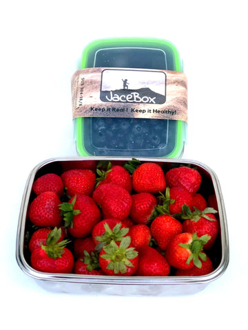 Image of Jacebox Stainless Steel Lunch Containers -New X-Large and Large Lunch box, BPA Free